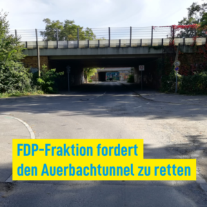 Auerbachtunnel