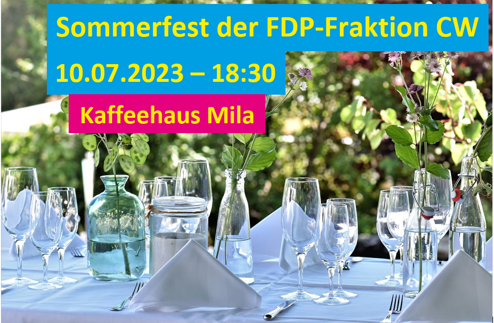 Sommerfest_FDP_1